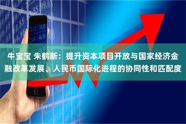 牛宝宝 朱鹤新：提升资本项目开放与国家经济金融改革发展、人民币国际化进程的协同性和匹配度